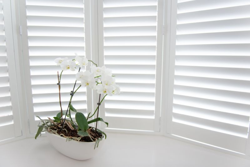 Louvered Shutters Installation in Kansas City, KS